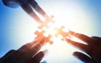 Want real organisational change? Don’t be a change agent, be an Appreciative Inquirer