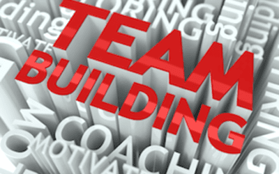 Team building and sustaining trust in times of change